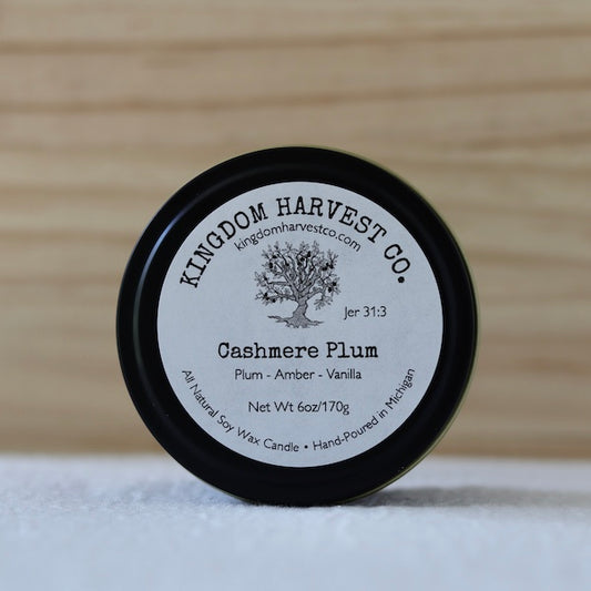 Cashmere Plum Candle
