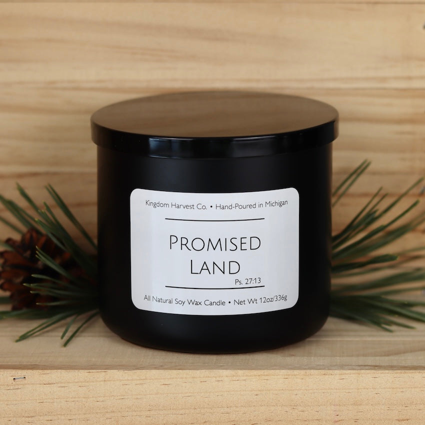 Promised Land 3-Wick Soy Candle