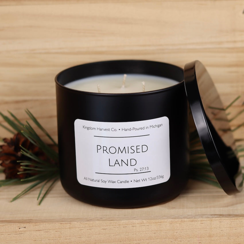 Promised Land 3-Wick Soy Candle