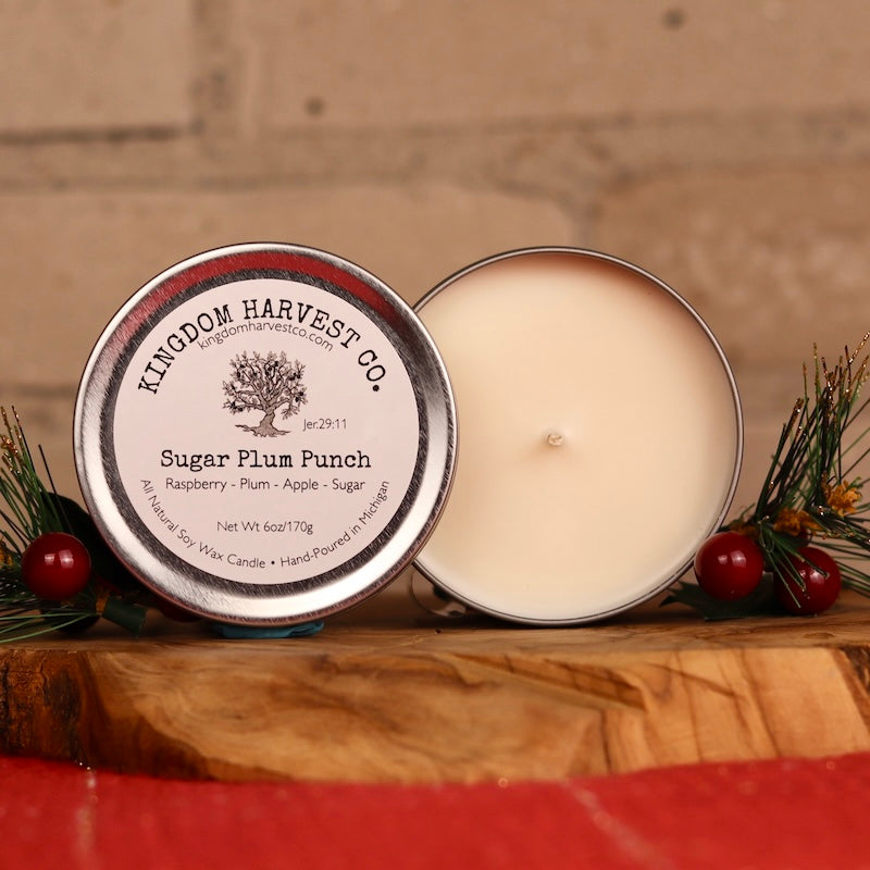 Sugar Plum Punch Candle- Silver Tin